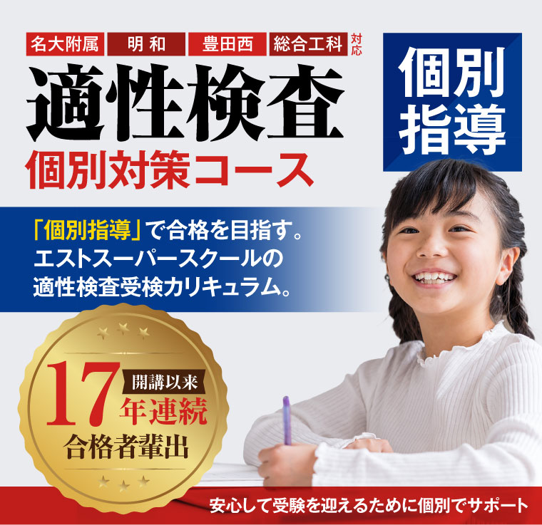 適性検査個別対策コース。専門カリキュラムを個別指導で受講できるのはエストスーパースクールだけ。開講以来17年連続合格者輩出 