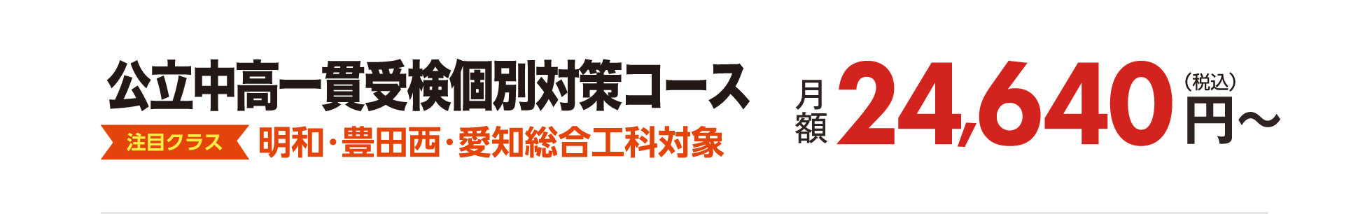 公立中高一貫受検個別対策コース